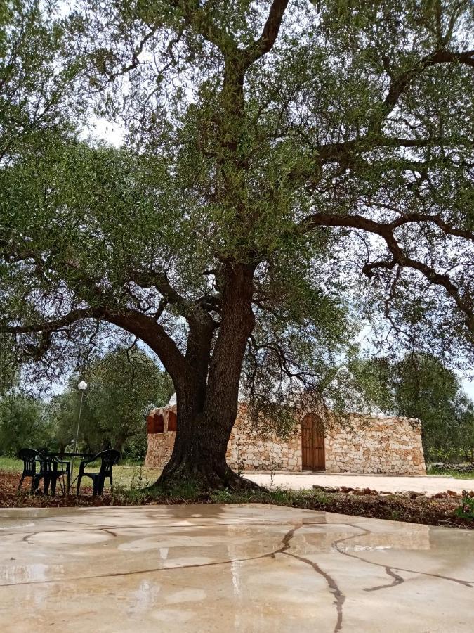 산비토데이노르만니 Trulli Monte Madre 빌라 외부 사진